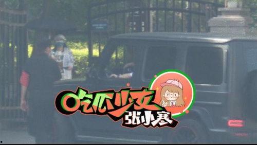 吃瓜少女张小寒贾乃亮,一段不为人知的情感纠葛