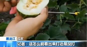 吃瓜被打,网络暴力何时休？