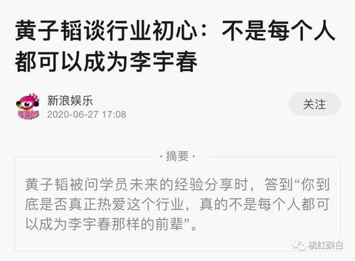 吃瓜网瘾站,网络狂欢背后的真相与反思