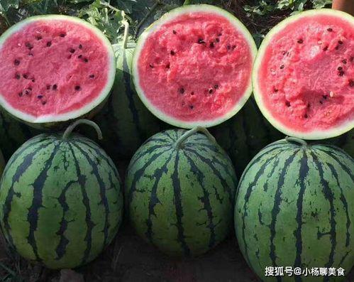 吃瓜官网在线观看,畅享热门视频，尽在指尖