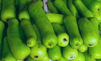 吃蒲瓜回奶,传统食疗法在现代生活中的应用与探索