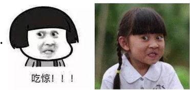 吃瓜不舔屏,不舔屏的智慧解读