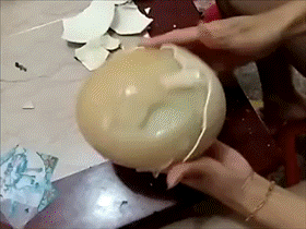 吃瓜可爱gif,吃瓜可爱GIF带你感受欢乐瞬间