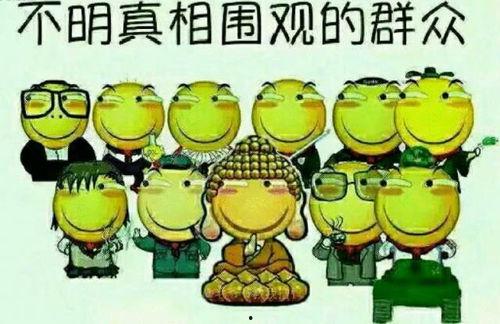 乌龟吃瓜文案搞笑句子,笑料横生！乌龟版搞笑瓜界风云录