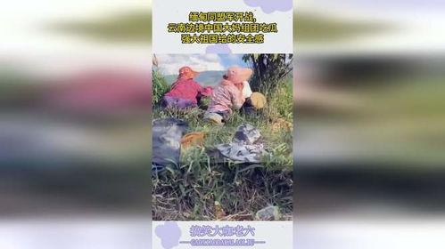 大妈打仗吃瓜,吃瓜群众眼中的烽火岁月