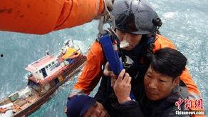 汕尾渔民吃瓜事件真相视频,真相与误解的交织