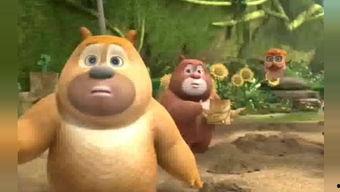 熊吃瓜原视频,一场萌宠与夏日的欢乐邂逅