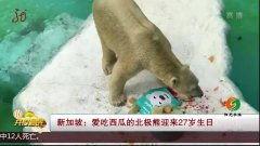 熊吃瓜原视频,一场萌宠与夏日的欢乐邂逅