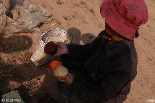 边境大妈吃瓜原视频,揭秘农村生活趣味瞬间