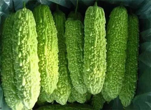 广西南宁最火视频吃瓜,揭秘街头美食新潮流