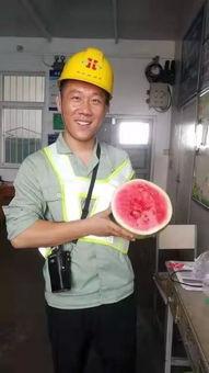 幸福吃瓜群众视频大全集,视频大全集精彩瞬间回顾