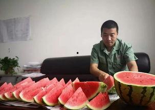 幸福吃瓜群众视频大全集,视频大全集精彩瞬间回顾