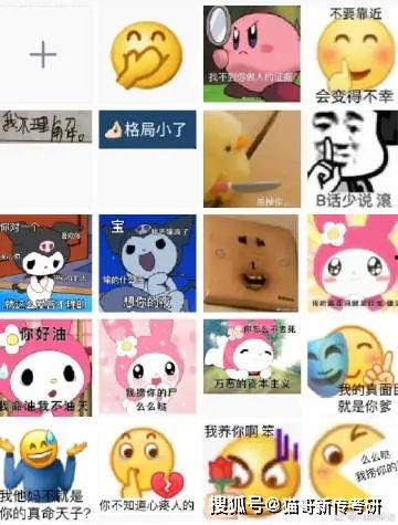 网传狗子吃瓜视频,狗狗意外成“吃瓜群众”