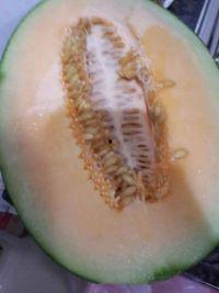 吃冻哈密瓜的视频,冻哈密瓜美味视频大赏